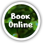 Book Online