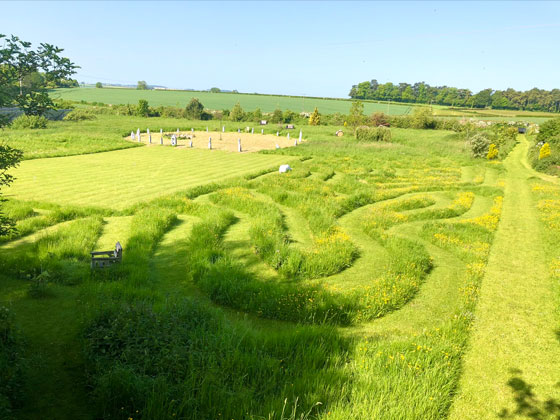 Maze in Field